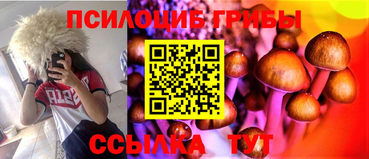 Назрань  Псилоцибиновые грибы мухоморы  Вход с VPN 